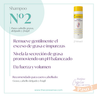 Shampoo N.2 para grasa Chihtsai