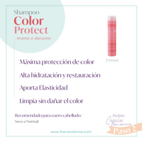 Color Protect Shampoo