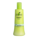 Olive Shampoo Chihtsai